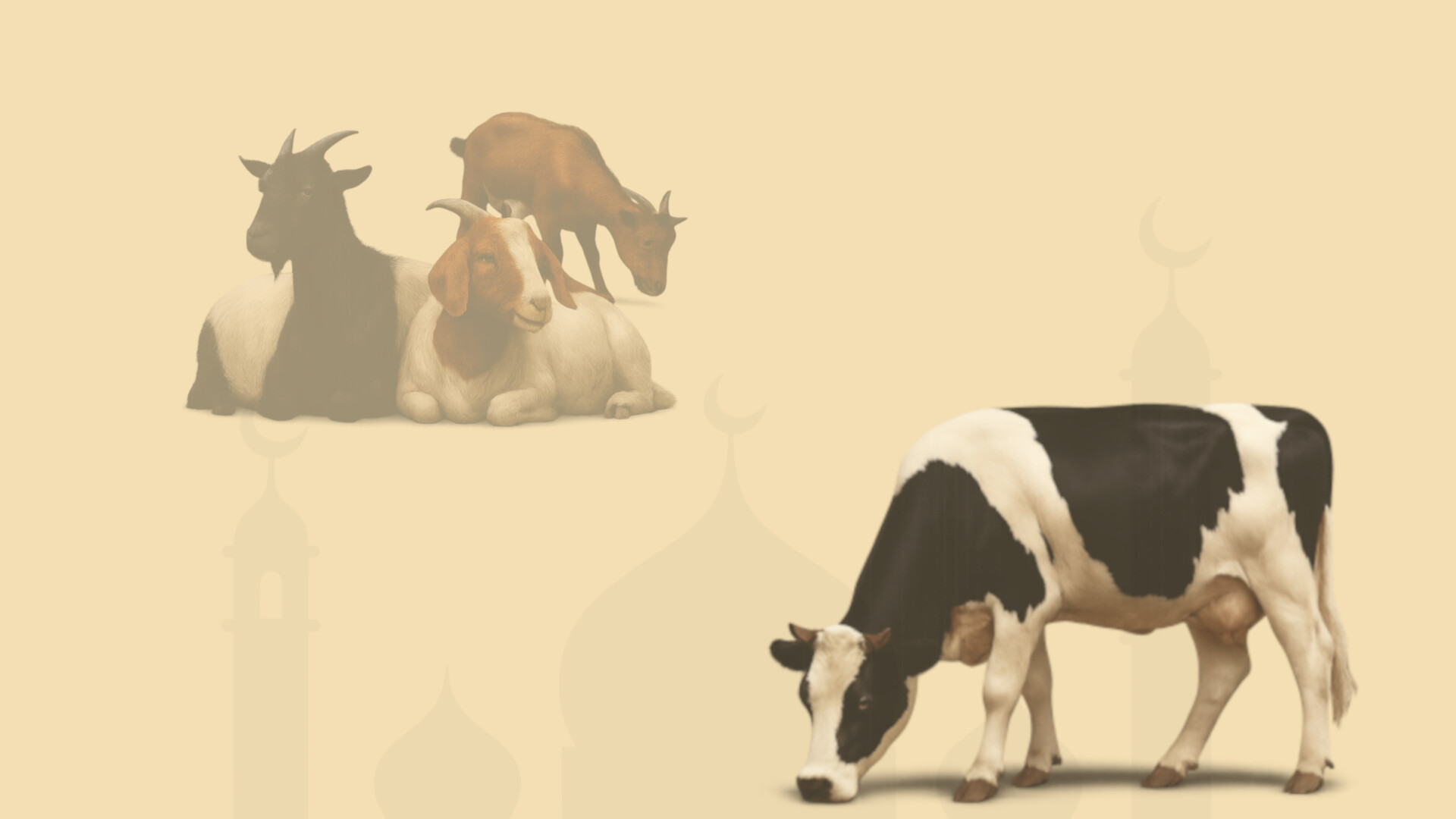 First bootstrap slide